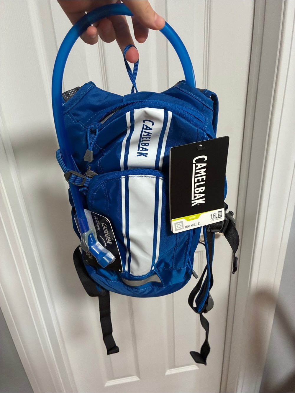 CamelBak Blue and White Hydration Backpack